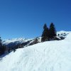 sam_1155