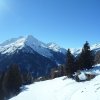 sam_1156