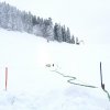IMG_2886