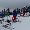 IMG_0774