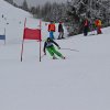 IMG_4512