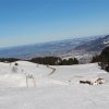 IMG_2833