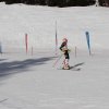 IMG_4104