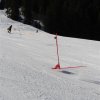 IMG_8643