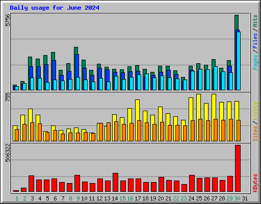 Daily usage for June 2024