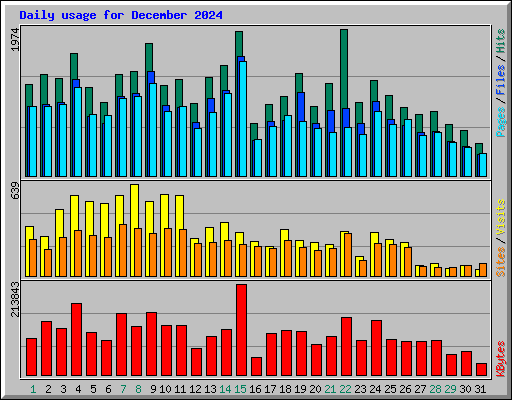 Daily usage for December 2024