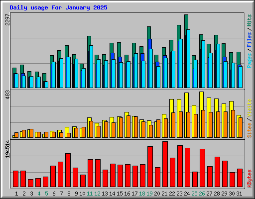 Daily usage for January 2025