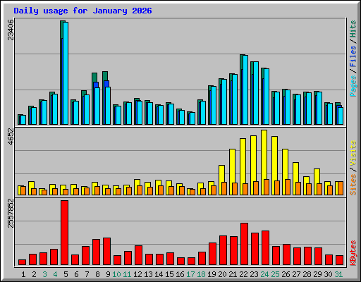 Daily usage for January 2026