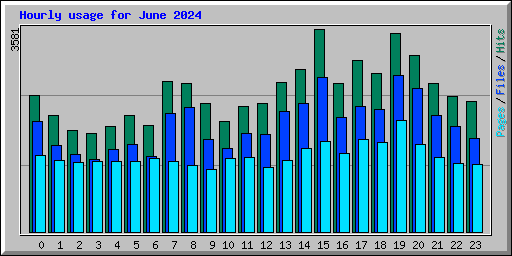 Hourly usage for June 2024