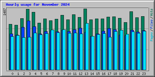 Hourly usage for November 2024