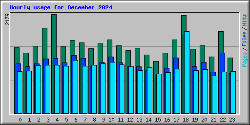 Hourly usage for December 2024