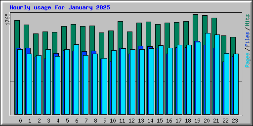 Hourly usage for January 2025