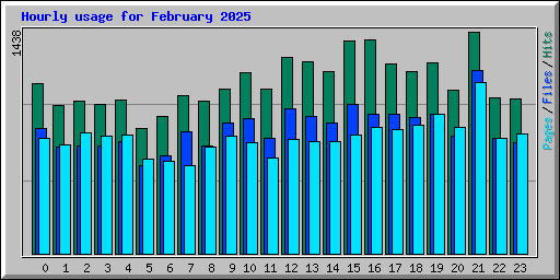 Hourly usage for February 2025