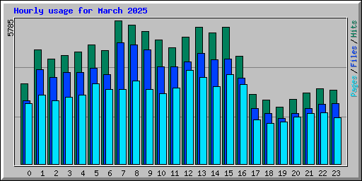 Hourly usage for March 2025