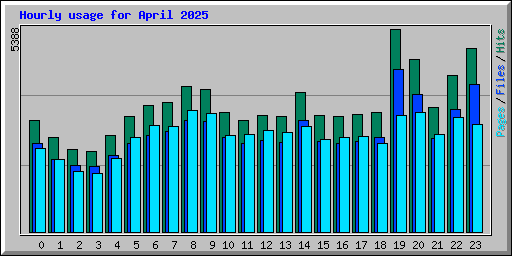 Hourly usage for April 2025