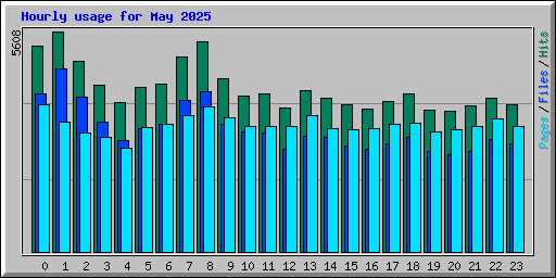 Hourly usage for May 2025