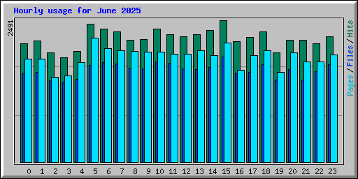 Hourly usage for June 2025