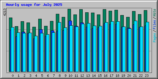 Hourly usage for July 2025