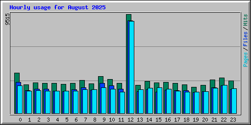 Hourly usage for August 2025