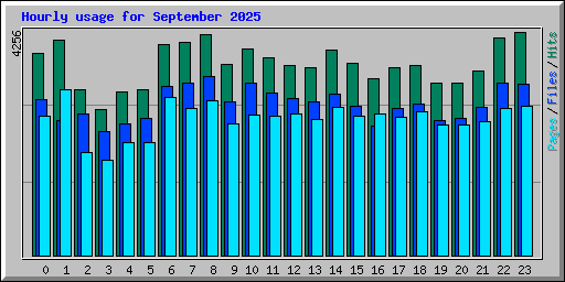 Hourly usage for September 2025