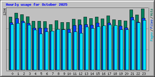 Hourly usage for October 2025