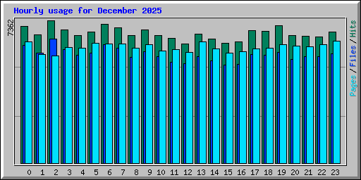 Hourly usage for December 2025
