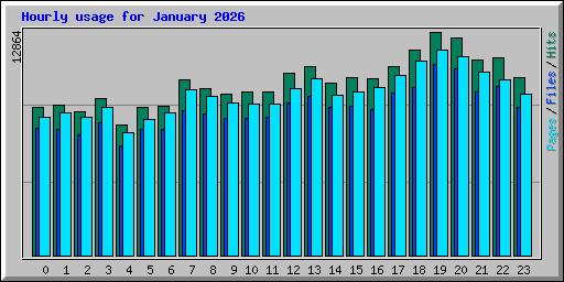 Hourly usage for January 2026
