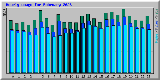 Hourly usage for February 2026