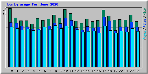 Hourly usage for June 2026
