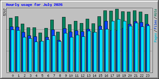 Hourly usage for July 2026